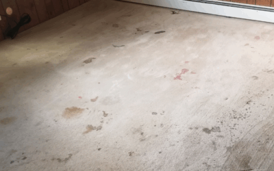 When to Replace Carpet: Signs It’s Time for New Floors