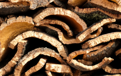 What Is Cork Flooring? (Pros, Cons & Common Myths)